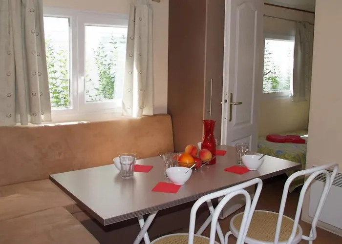 ZEcamping 4 étoiles animé 500m plage parc aquatique locatif TV clim *