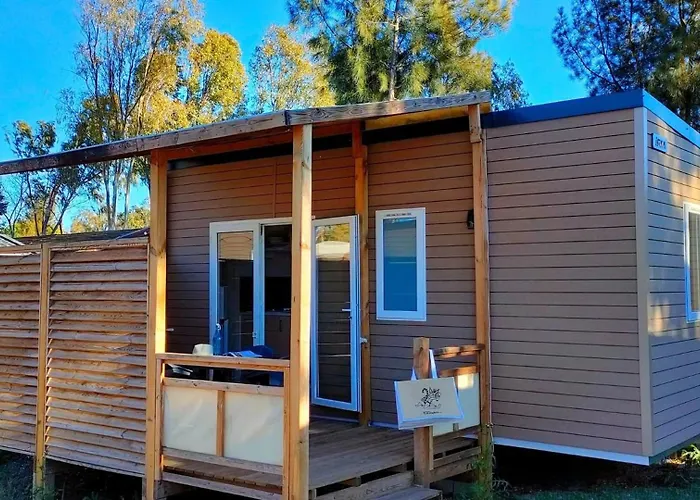 Campeggio ZEcamping 4 étoiles animé 500m plage parc aquatique locatif TV clim