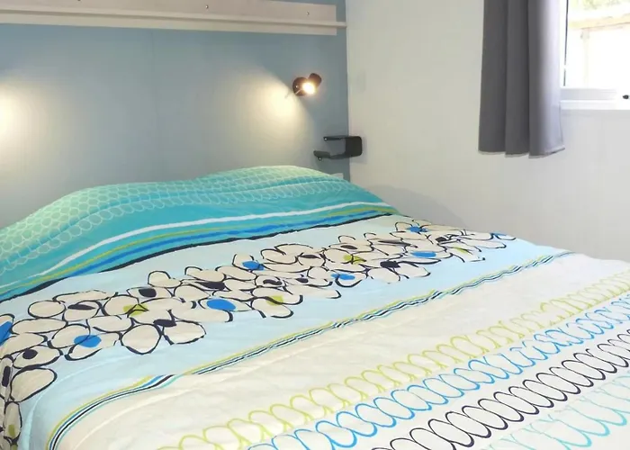 Campeggio ZEcamping 4 étoiles animé 500m plage parc aquatique locatif TV clim Hyères